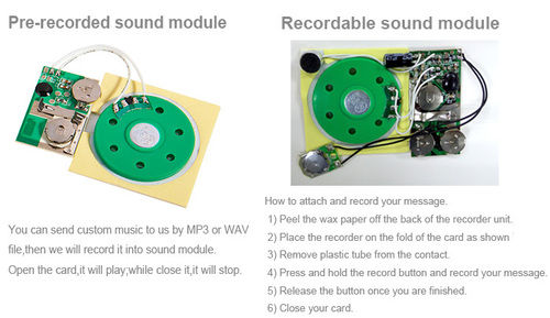 Programmable Sound Module Voice IC Chips