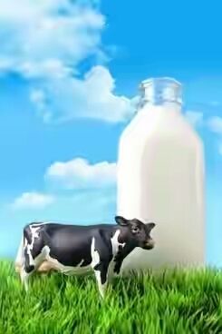  गाय का दूध
