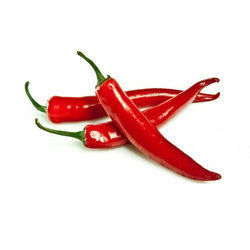 Fresh Red Chilli