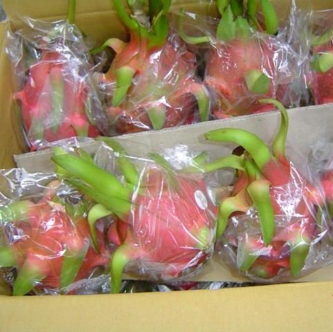 Fresh Dragon Fruit