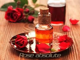 Rose Absolute Oil