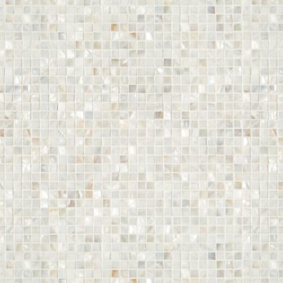 Belle Coquille Mosaics Tile