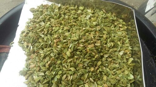 Fresh Green Cardamom