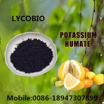 Organic Coffee Smell Humic Acid Potassium Humate Cas No: 94-99-5.