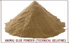 Animal Glue Powder (Technical Gelatine)