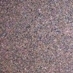 Adhunik Brown Granite