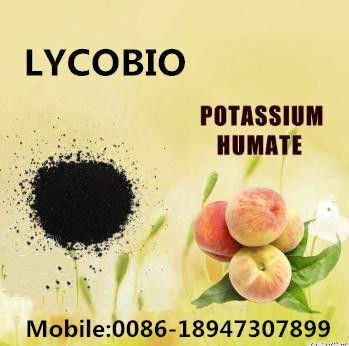 Humic Acid Crystal Potassium Humate 95% Soluble