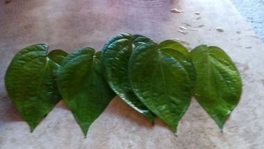 Fresh Green Betel Leaves