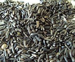 Niger Seeds