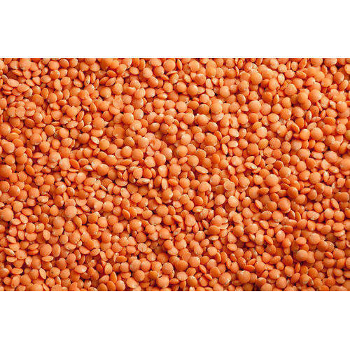 Organic Masoor Dal