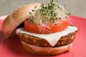 Soya Burger