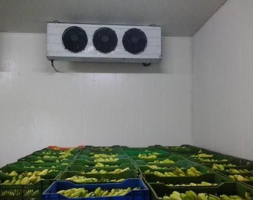 Vegetable Modular Cold Storage Room