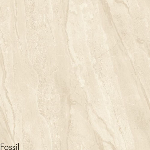 Fossil Floor Tiles