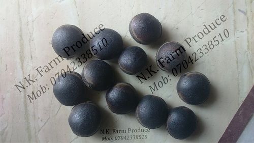 Black Alfaroot Seeds