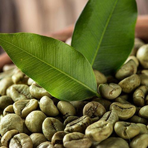 Arabica Coffee Beans - Manufacturers, Suppliers & Dealers