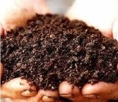 Bio Organic Fertilizer