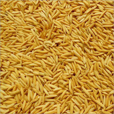  धान चावल