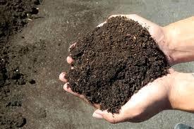 Soil Conditioner