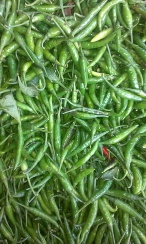 Fresh Green Chillies