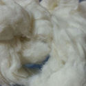 Raw Cotton Comber Noil