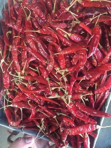 Red Dry Chilli