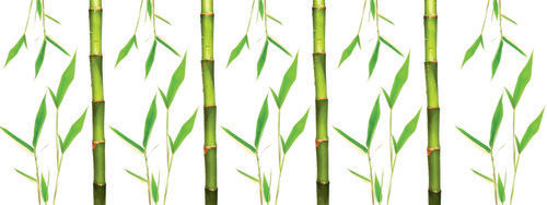 Bamboo Print On Glass