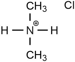 Dimethylamine Hydrochloride