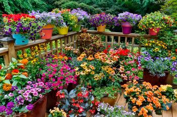 Container Gardening Services