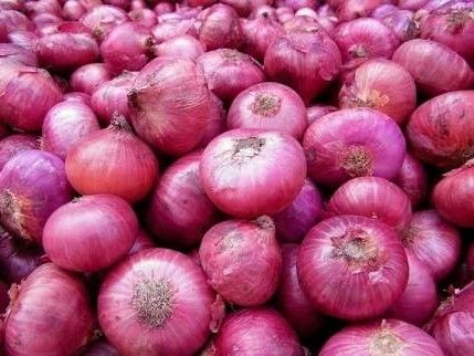 Fresh Red Onions