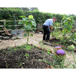 Garden Maintenance Services