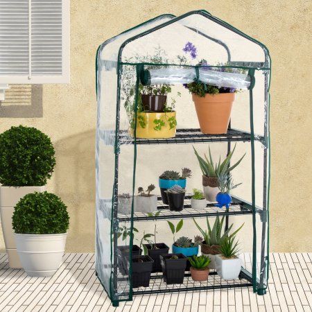 Mini Greenhouse