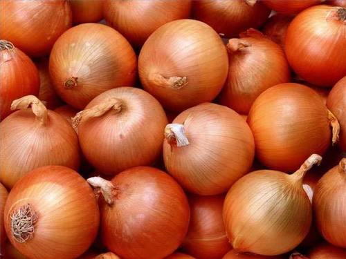 Fresh Onion By azurtech  ltd