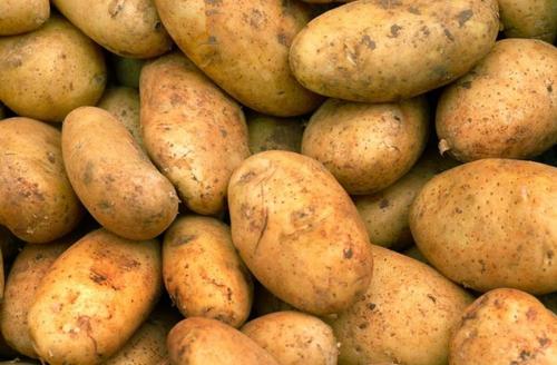 Fresh Potatoes By azurtech  ltd