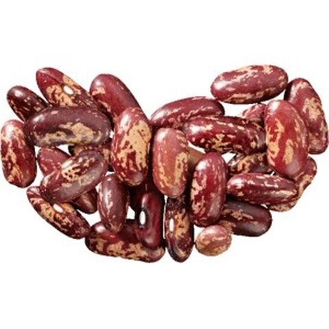 Purple Speckled Kidney Bean