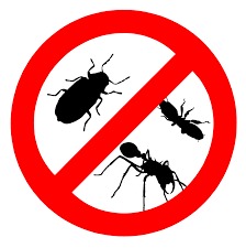 Outdoor Pest Control Services By Sparsh India Pest Solutions