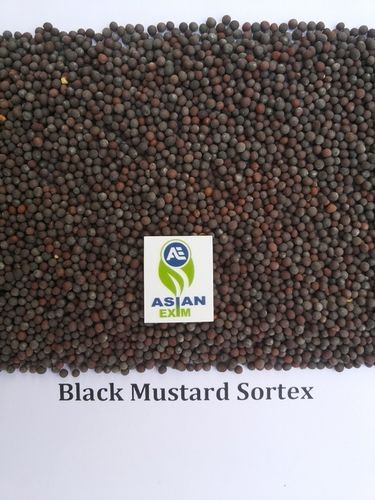 Premium Quality Black Mustard Seeds