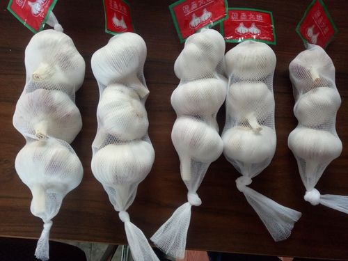 Fresh White Garlic