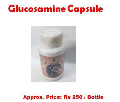 Glucosamine Capsule