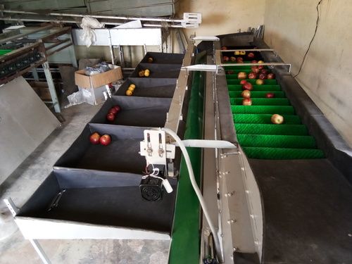 Silver Apple Grading Packaging Machines