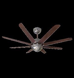 Ceiling Fan Special Finish At Best Price In Bengaluru