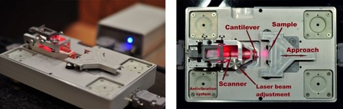 Budget Compact Multifunctional AFM - HandyScan