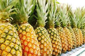 Fresh Natural Pineapple Fruits