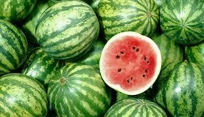 Fresh Watermelon Fruits