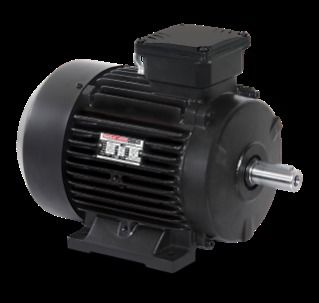 Premium Series Energy Efficient Motors