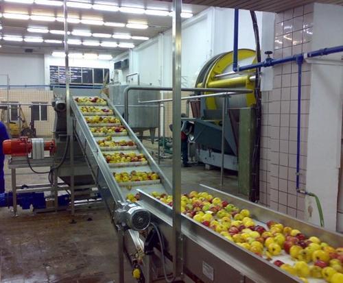 Vegetables Processing Machinery