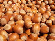 Hazel Nuts - Dried Fruit