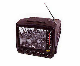 portable tv