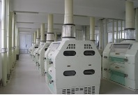 300T/24H Floor Type Wheat Flour Production Line By Hebei Huangpai Food Machines Co., Ltd.