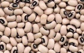 Black Eye Bean