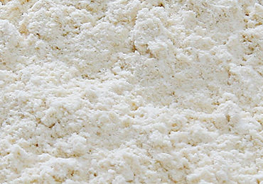 Dehydrated White Onion Powder